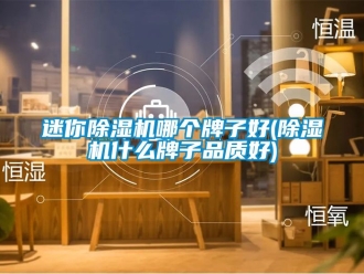行业资讯迷你除湿机哪个牌子好(除湿机什么牌子品质好)
