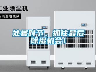 行业资讯处暑时节，抓住最后除湿机会！