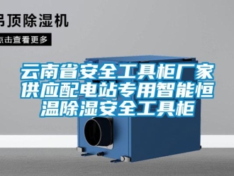知识百科云南省安全工具柜厂家供应配电站专用智能恒温除湿安全工具柜