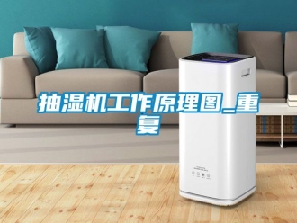 企业动态抽湿机工作原理图_重复