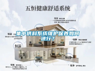 常见问题集中供料系统维护保养如何进行？