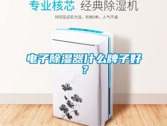 行业资讯电子除湿器什么牌子好？