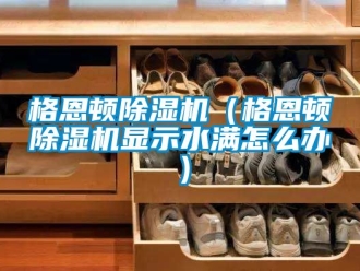 行业资讯格恩顿除湿机（格恩顿除湿机显示水满怎么办）