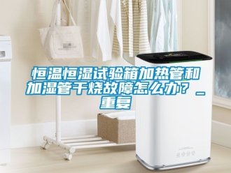 知识百科恒温恒湿试验箱加热管和加湿管干烧故障怎么办？_重复