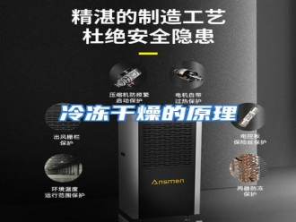 行业资讯冷冻干燥的原理