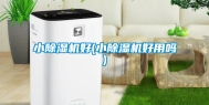小除湿机好(小除湿机好用吗)