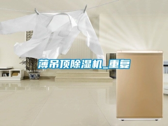 企业动态薄吊顶除湿机_重复