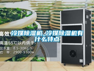 行业资讯冷媒除湿机_冷媒除湿机有什么特点