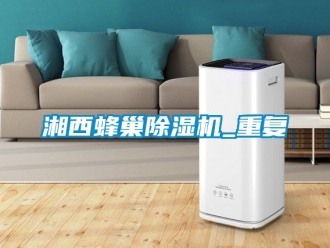 行业资讯湘西蜂巢除湿机_重复
