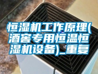 知识百科恒湿机工作原理(酒窖专用恒温恒湿机设备)_重复