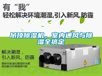行业资讯吊顶除湿机，室内通风与除湿全搞定