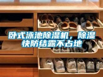 行业资讯卧式泳池除湿机，除湿快防结露不占地