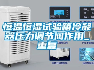 知识百科恒温恒湿试验箱冷凝器压力调节阀作用_重复