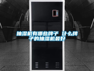 企业动态抽湿机有哪些牌子 什么牌子的抽湿机最好
