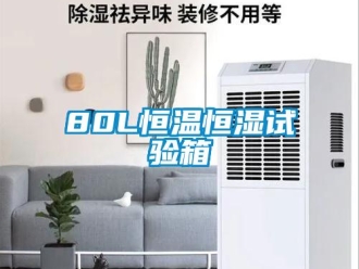 常见问题80L恒温恒湿试验箱