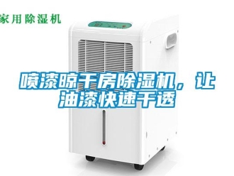 行业资讯喷漆晾干房除湿机，让油漆快速干透