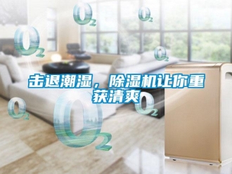 行业资讯击退潮湿，除湿机让你重获清爽