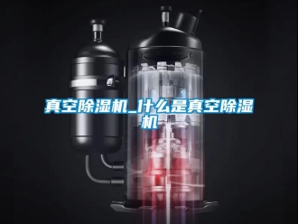 行业资讯真空除湿机_什么是真空除湿机