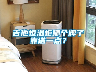 知识百科吉他恒湿柜哪个牌子靠谱一点？