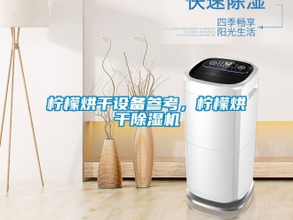 行业资讯柠檬烘干设备参考，柠檬烘干除湿机