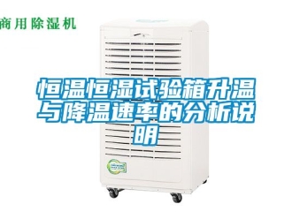 知识百科恒温恒湿试验箱升温与降温速率的分析说明