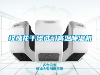 行业资讯玫瑰花干燥选耐高温除湿机