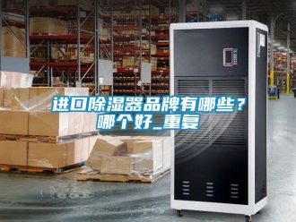 行业资讯进口除湿器品牌有哪些？哪个好_重复