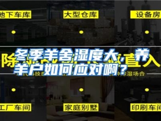 常见问题冬季羊舍湿度大，养羊户如何应对啊？