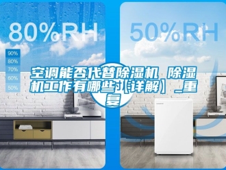 行业资讯空调能否代替除湿机 除湿机工作有哪些【详解】_重复