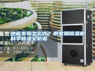常见问题地板发霉怎么办？用家用除湿机科学除湿又防霉