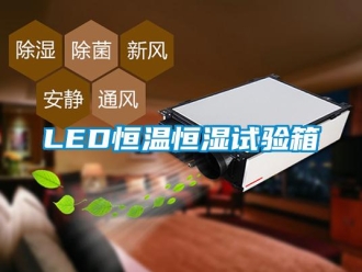 常见问题LED恒温恒湿试验箱