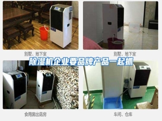知识百科除湿机企业要品牌产品一起抓