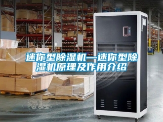 行业资讯迷你型除湿机—迷你型除湿机原理及作用介绍