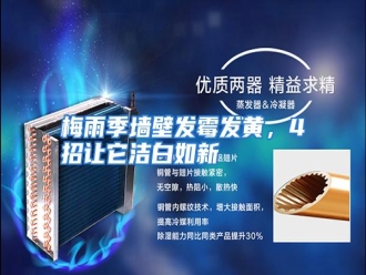 行业资讯梅雨季墙壁发霉发黄，4招让它洁白如新