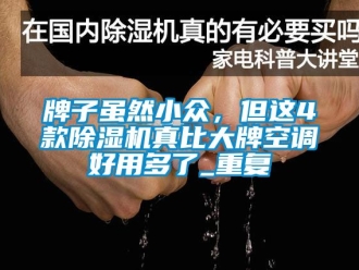 行业资讯牌子虽然小众，但这4款除湿机真比大牌空调好用多了_重复
