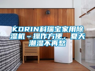 常见问题KORIN科瑞宝家用除湿机–操作方便，夏天潮湿不再愁