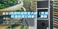 恒温恒湿蔬菜大棚（低温恒温恒湿空调机）_重复
