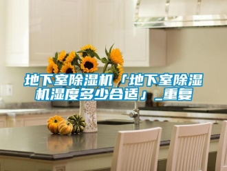 行业资讯地下室除湿机「地下室除湿机湿度多少合适」_重复