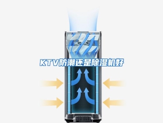 知识百科KTV防潮还是除湿机好