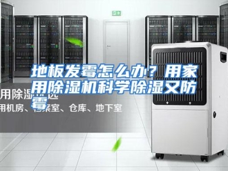 常见问题地板发霉怎么办？用家用除湿机科学除湿又防霉