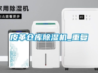 企业动态皮革仓库除湿机_重复