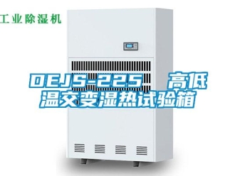 常见问题DEJS-225  高低温交变湿热试验箱