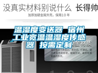 企业动态温湿度变送器 宿州工业宽温温湿度传感器 按需定制