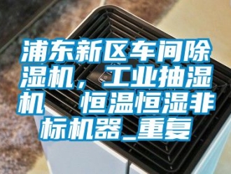 常见问题浦东新区车间除湿机，工业抽湿机  恒温恒湿非标机器_重复