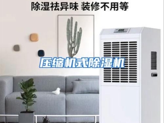 行业资讯压缩机式除湿机