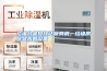 垃圾分类投放站除臭机，垃圾房除臭杀菌设备