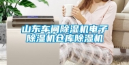 山东车间除湿机电子除湿机仓库除湿机