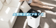 大型除湿机CF6／C