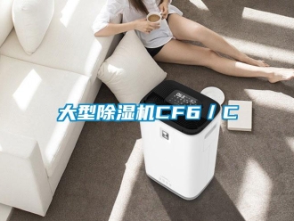 行业资讯大型除湿机CF6／C