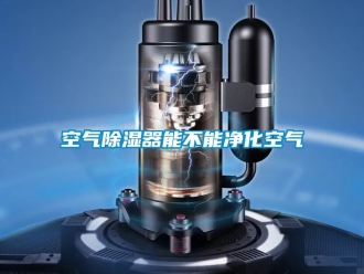 行业资讯空气除湿器能不能净化空气